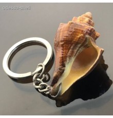 Брелок из ракушкикансла коричневая опт от 2шт