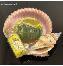Магнит Одессацветной гребешок(внутри оперный)+бутылочка с цветн.песком и натур.ракушкой