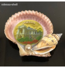 Магнит Одессацветной гребешок(внутри оперный)+натур.ракушка
