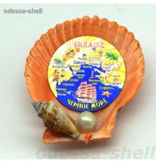 Магнит Черное мореиз ракушки цветной гребешок внутри фольга тисненая в форме круга с изображ.карты
опт от 2шт