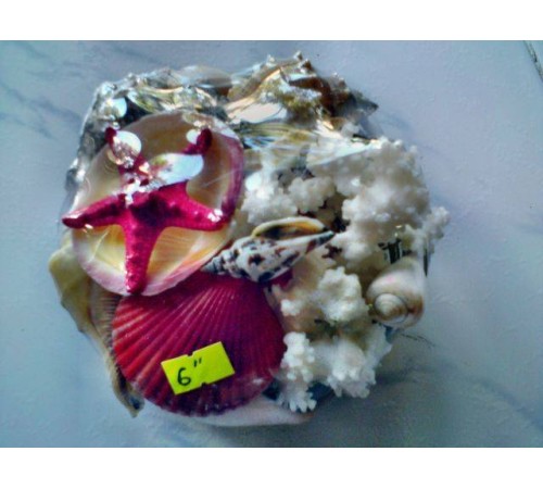 НАБОР РАКУШЕКв плетеной корзине (с кораллом ,размер 6"  15см) SHELLPACK BASKET 6" W/ FLOWER
 опт от 2шт НАБОР РАКУШЕКв плетеной корзине (с кораллом ,размер 6"  15см) SHELLPACK BASKET 6" W/ FLOWER
 опт от 2шт
