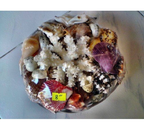 НАБОР РАКУШЕКв плетеной корзине(с кораллом,размер 8"  20см) SHELLPACK BASKET 8" W/ FLOWER
 опт от 2шт НАБОР РАКУШЕКв плетеной корзине(с кораллом,размер 8"  20см) SHELLPACK BASKET 8" W/ FLOWER
 опт от 2шт