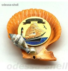 Магнит Черное мореиз ракушки(гребешок+жемчужинка)внутри золот.бляшка(круг4,2см)с изображ.парусника
опт от 2шт