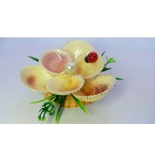 Сувенир из ракушкицветок из куклиса с жемчужинкой,на гребешке
в уп 1шт опт опт от 2шт