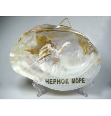 Сувенир Черн.море(жемчужная раковина на пдставке с надписью Черн.море)
уп10шт опт от 2шт