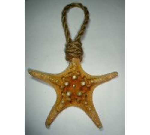 Морская звездана канате,  5"-6" в уп 1шт опт от 2шт Морская звездана канате,  5"-6" в уп 1шт опт от 2шт