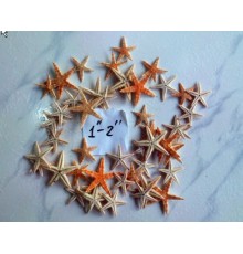 Морская звездасахарная,размер 1"-2"(2,5-5см)
в уп 500шт опт от 500шт