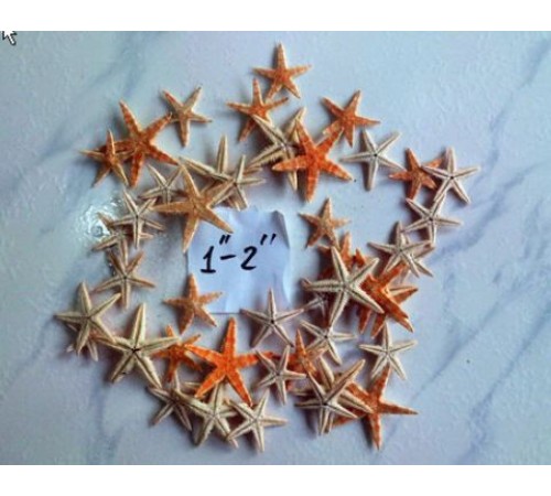 Морская звездасахарная,размер 1"-2"(2,5-5см)
в уп 500шт опт от 500шт Морская звездасахарная,размер 1"-2"(2,5-5см)
в уп 500шт опт от 500шт