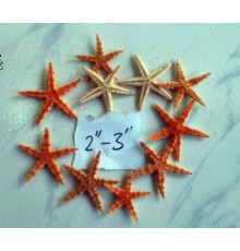 Морская звездасахарная,размер 2"-3"(5-7,5см)
в уп 100шт опт от 200шт