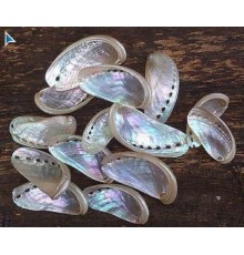 Ракушка на весхалиотис перламутровый ABALONE PEARLIZED в уп 1кг опт от 1кг