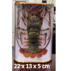 ЛАНГУСТмаленький в коробке на деревянной основе,размер 22*13*5см в ящике 40шт
опт от 10шт