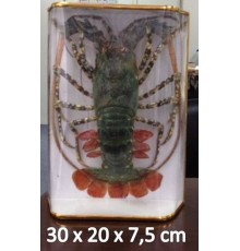 ЛАНГУСТбольшой в коробке на деревянной основе,размер 30*20*7,5см  в ящике20шт
опт от 10шт