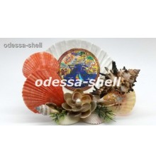 Сувенир Черное мореиз ракушки(большой белый гребешок+цветок,внутри фольга карта черн.м.)
в уп 1шт опт от 2шт