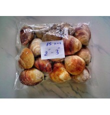 РАКУШКА(браун коклес парный,размер 2"-3"  5-7см small)
в уп20шт опт от 20шт